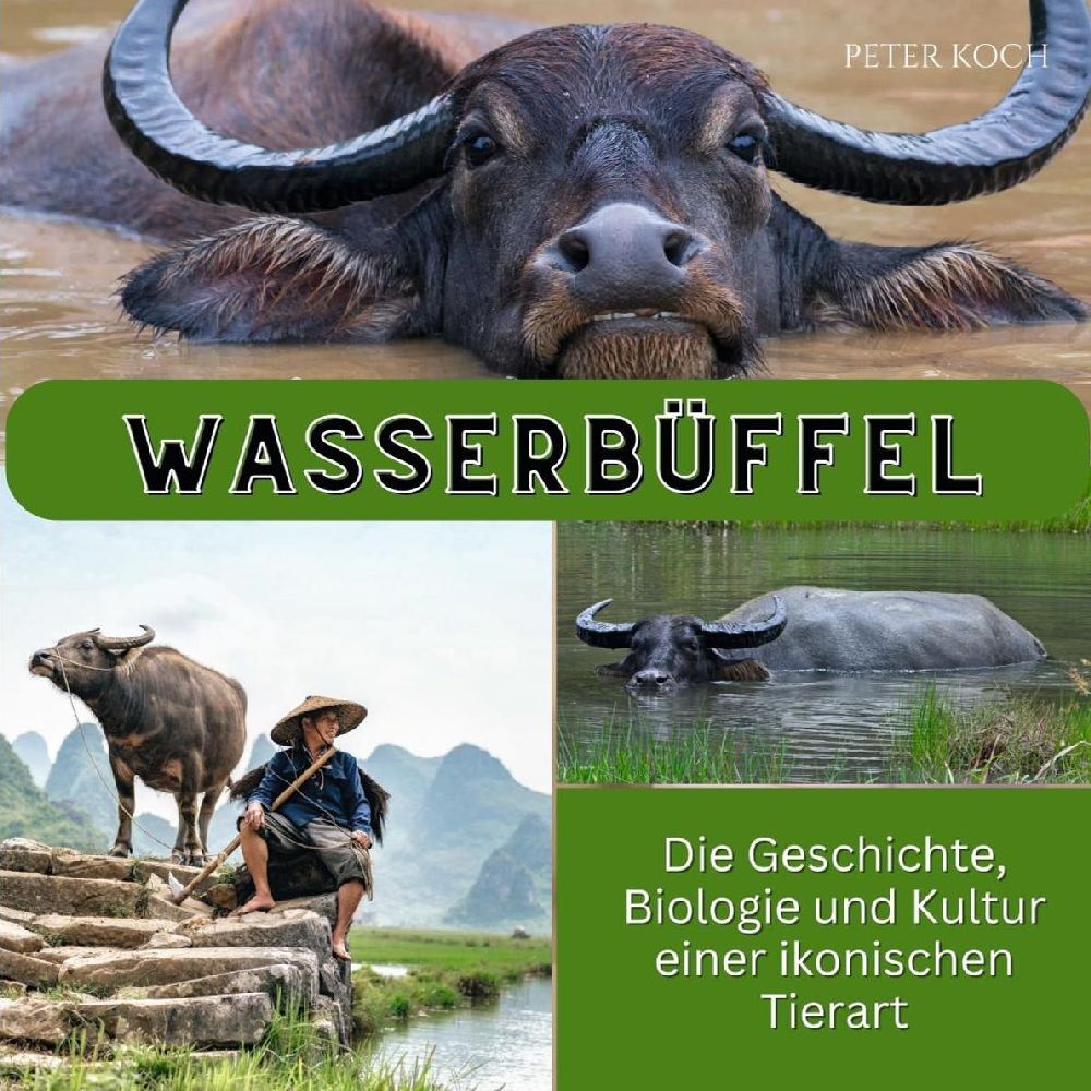 Cover: 9783750563650 | Wasserbüffel | Peter Koch | Taschenbuch | 80 S. | Deutsch | 2024