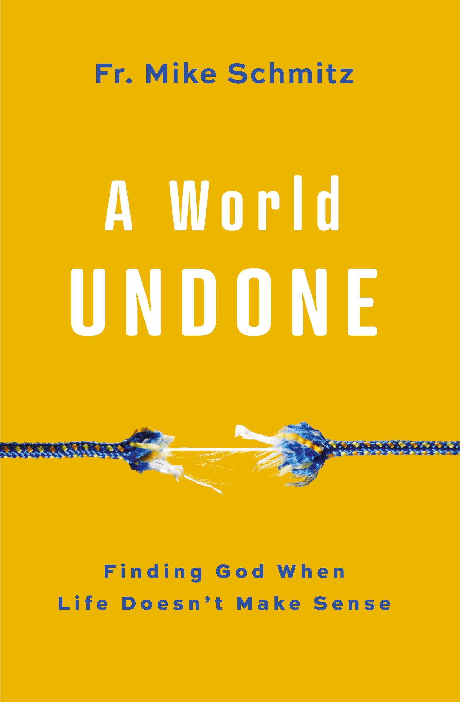 Cover: 9781593255992 | World Undone | Finding God When Life Doesn't Make Sense | Schmitz