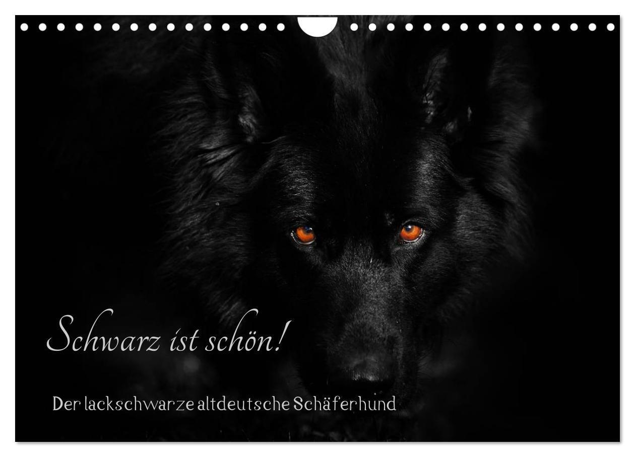 Cover: 9783435573264 | Schwarz ist schön! Der lackschwarze altdeutsche Schäferhund...