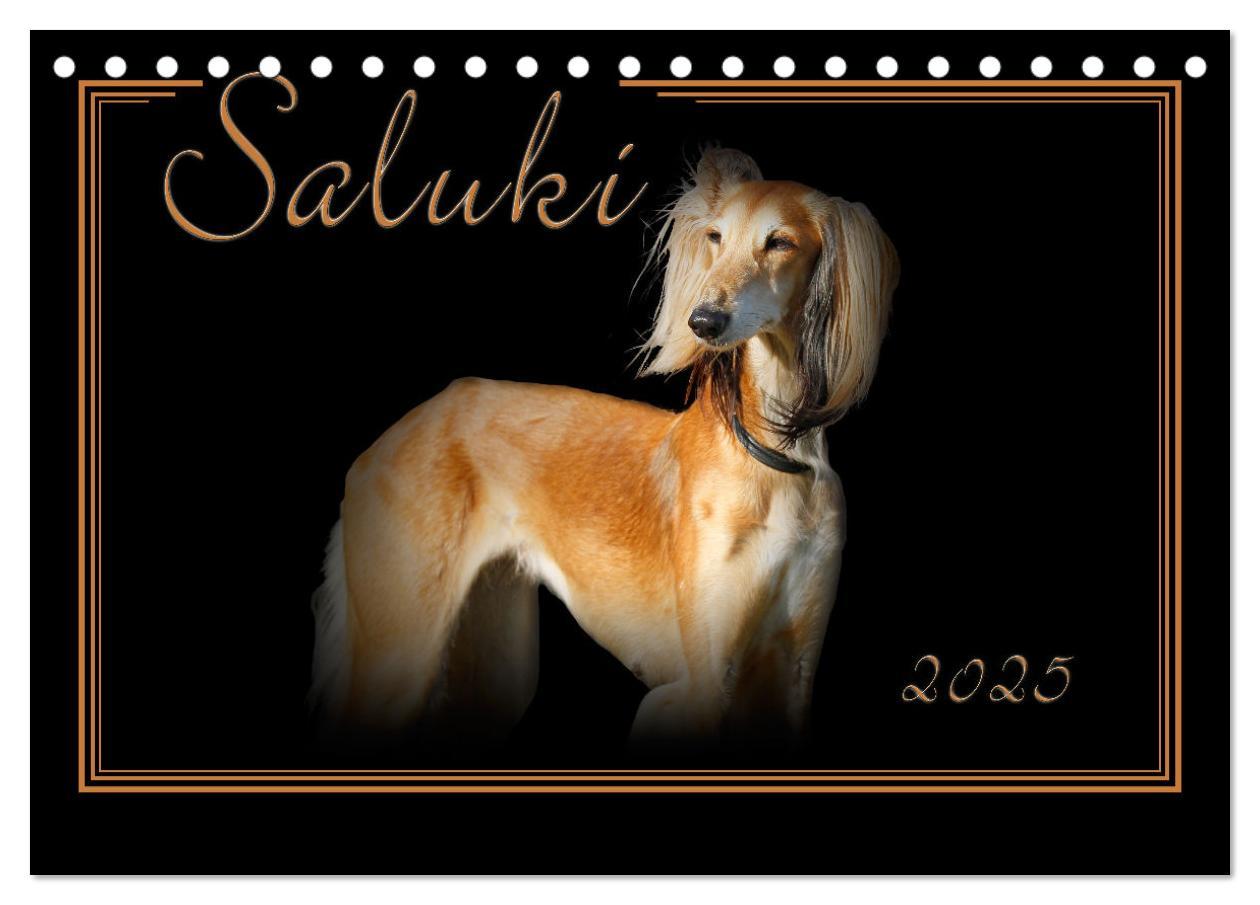 Cover: 9783383823916 | Saluki 2025 (Tischkalender 2025 DIN A5 quer), CALVENDO Monatskalender