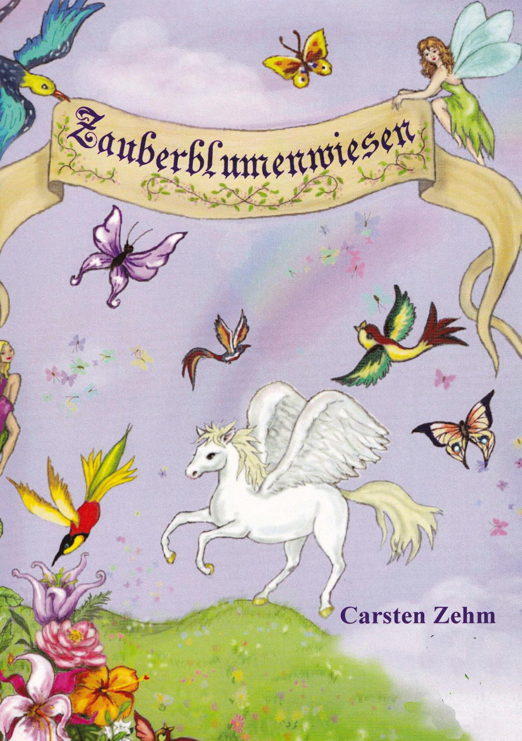 Cover: 9783384024404 | Abenteuer auf den Zauberblumenwiesen | Carsten Zehm | Taschenbuch