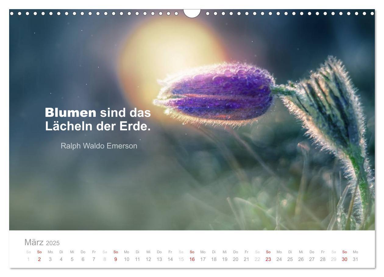 Bild: 9783435480746 | Zauberhafte Sprüche - Bunte Seelenblüten (Wandkalender 2025 DIN A3...