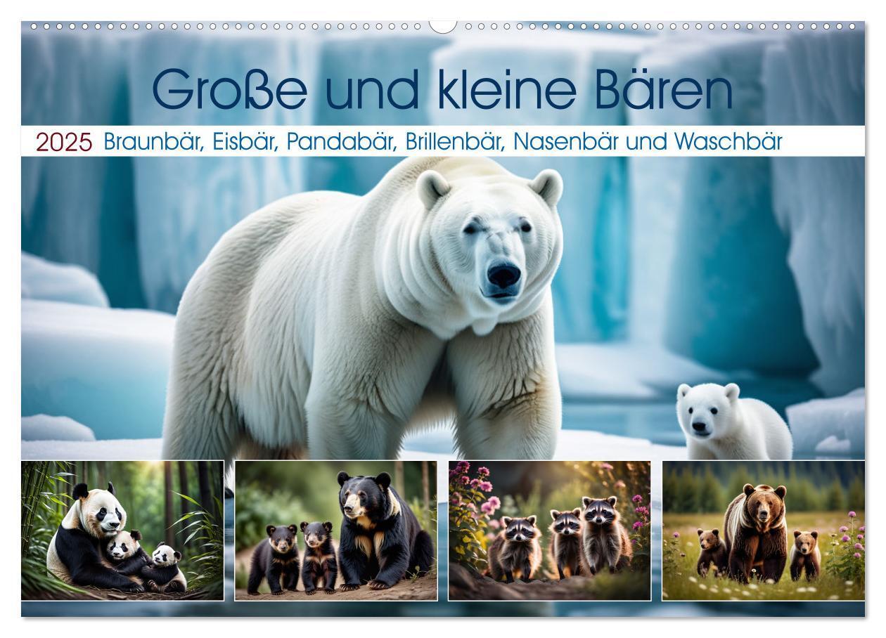 Cover: 9783457166819 | Große und kleine Bären (Wandkalender 2025 DIN A2 quer), CALVENDO...