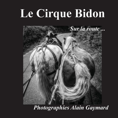 Cover: 9782322016907 | Le cirque Bidon | Sur la route | Alain Gaymard | Taschenbuch | 2015