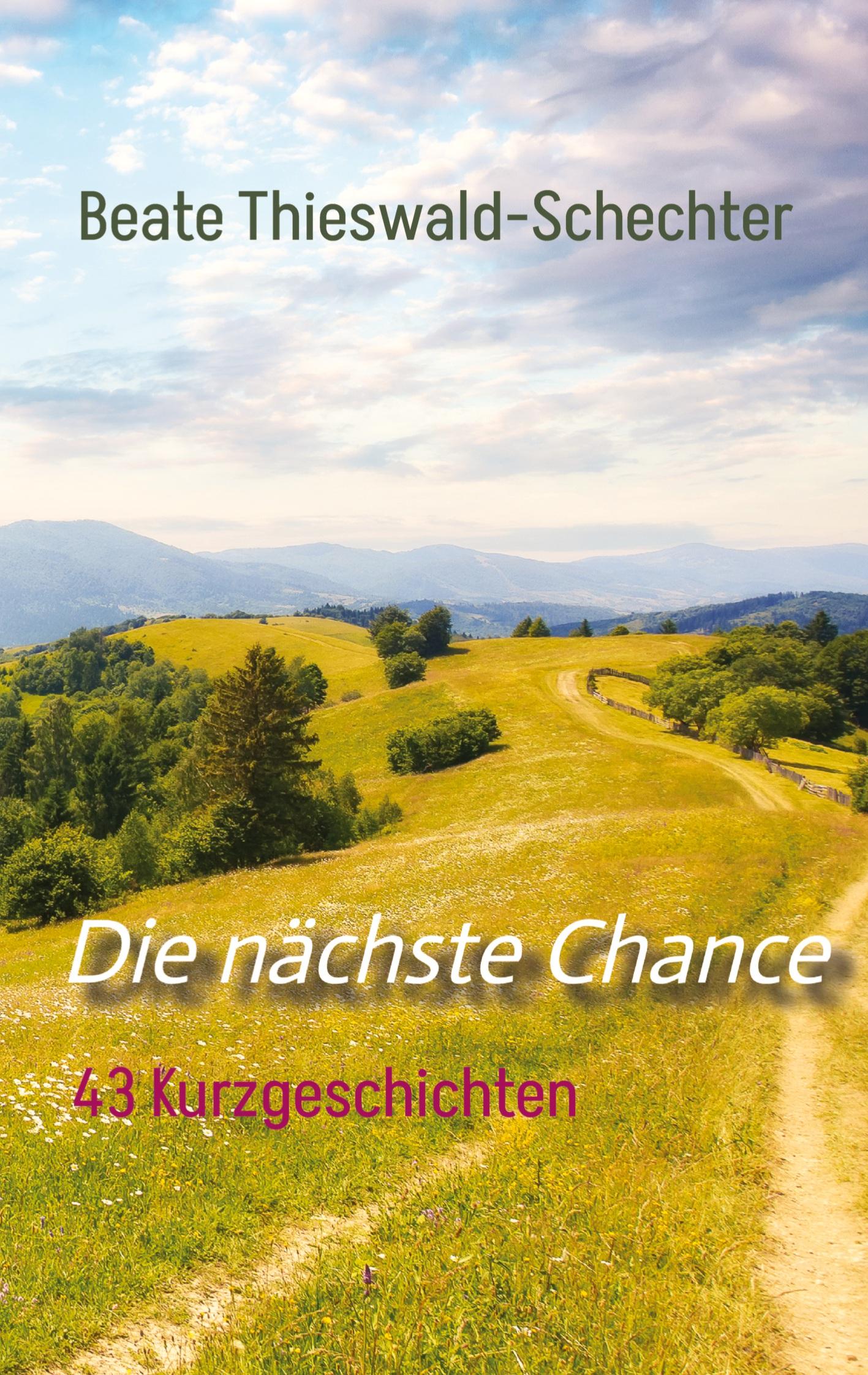 Cover: 9783384339423 | Die nächste Chance | 43 Kurzgeschichten | Beate Thieswald-Schechter