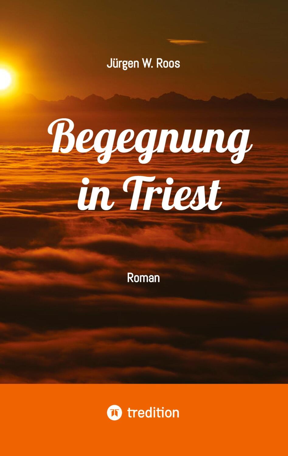 Cover: 9783384181237 | Begegnung in Triest - Ein spannender Politthriller | Roman | Roos