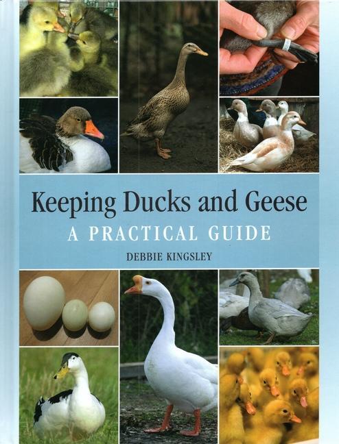 Cover: 9781785009617 | Keeping Ducks and Geese | A Practical Guide | Debbie Kingsley | Buch