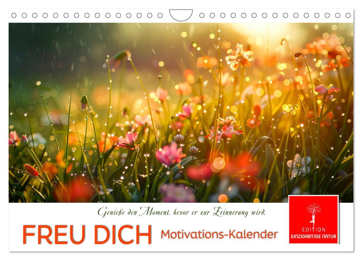 Cover: 9783383814556 | Freu Dich Motivations-Kalender (Wandkalender 2025 DIN A4 quer),...