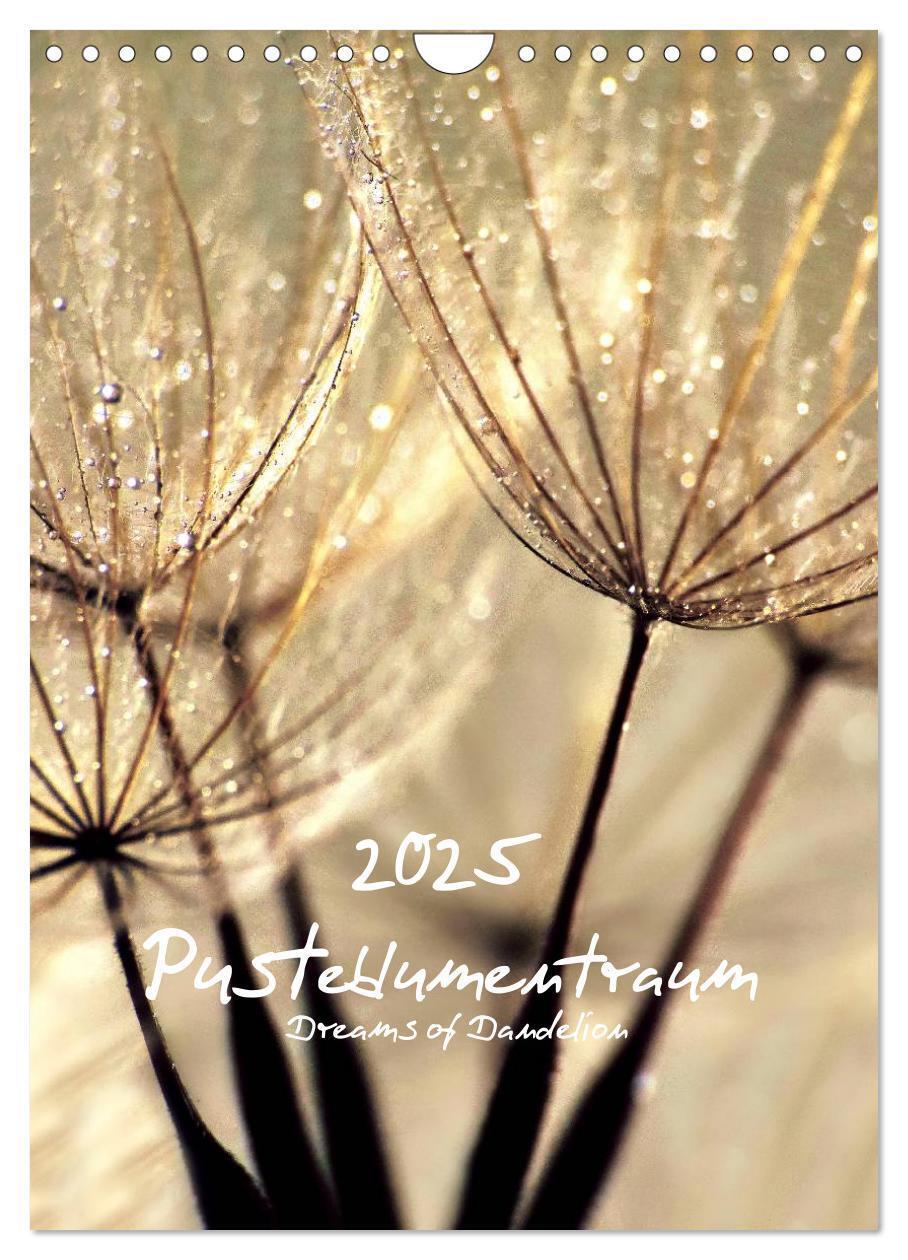 Cover: 9783457068762 | Pusteblumentraum - Dreams of Dandelion (Wandkalender 2025 DIN A4...