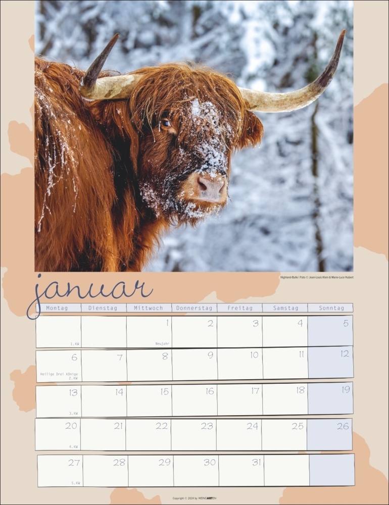 Bild: 9783839900734 | Kuh Kalender 2025 | Marie-Luce Hubert (u. a.) | Kalender | 14 S.