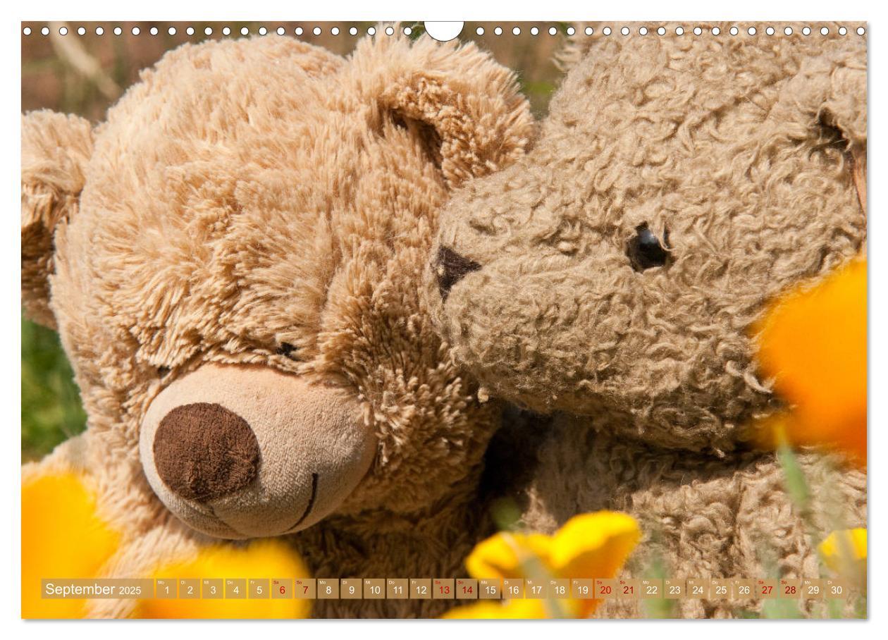 Bild: 9783435411832 | Kunterbunte Bärenwelt - Teddys (Wandkalender 2025 DIN A3 quer),...