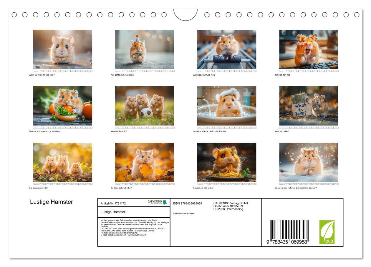 Bild: 9783435069958 | Lustige Hamster (Wandkalender 2025 DIN A4 quer), CALVENDO...