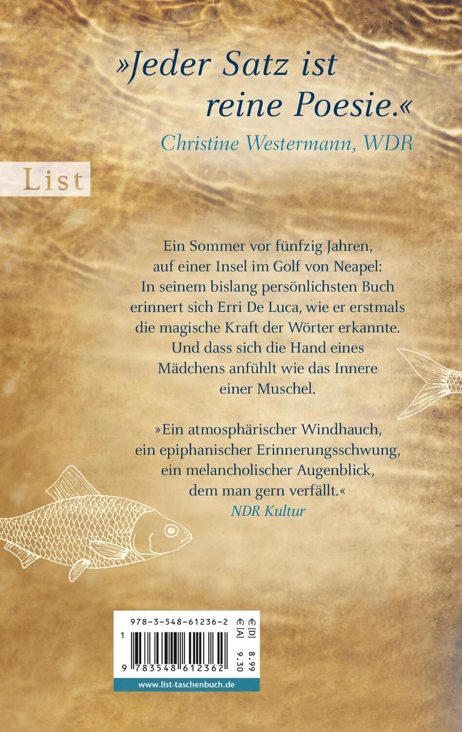 Rückseite: 9783548612362 | Fische schließen nie die Augen | Erri de Luca | Taschenbuch | 160 S.