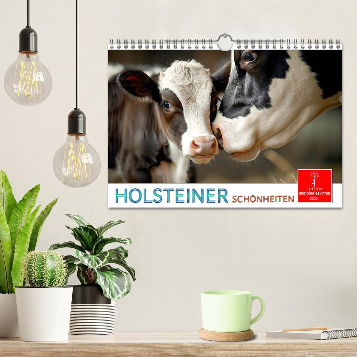 Bild: 9783457162705 | Holsteiner Schönheiten (Wandkalender 2025 DIN A4 quer), CALVENDO...