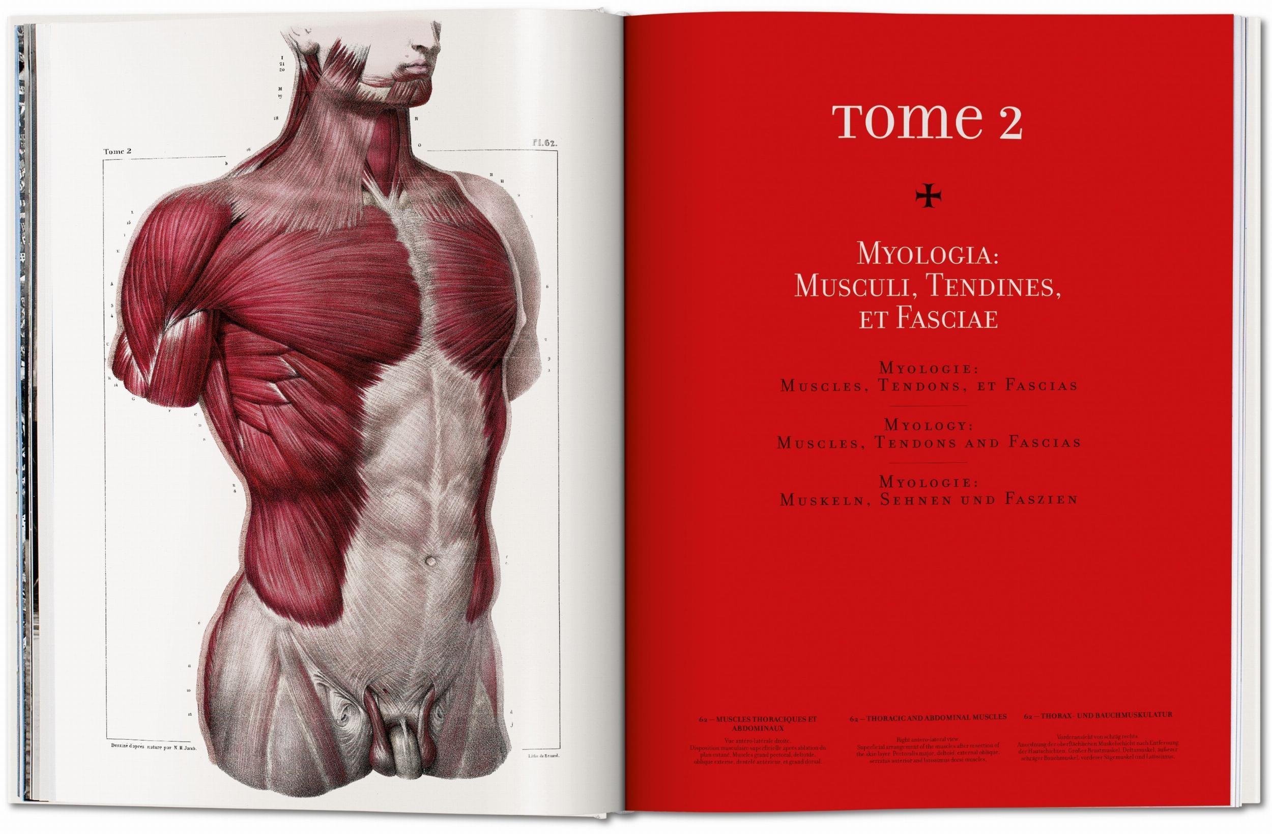 Bild: 9783836568982 | Bourgery. Atlas of Human Anatomy and Surgery | Minor (u. a.) | Buch