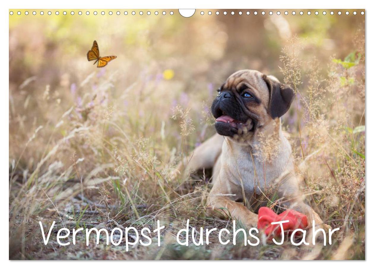 Cover: 9783435561117 | Vermopst durchs Jahr (Wandkalender 2025 DIN A3 quer), CALVENDO...