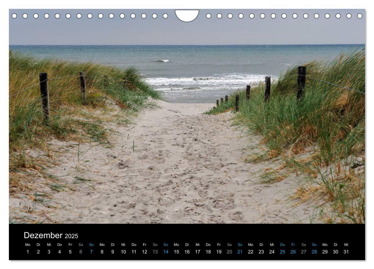 Bild: 9783435767885 | Ostseestrand Graal-Müritz (Wandkalender 2025 DIN A4 quer), CALVENDO...