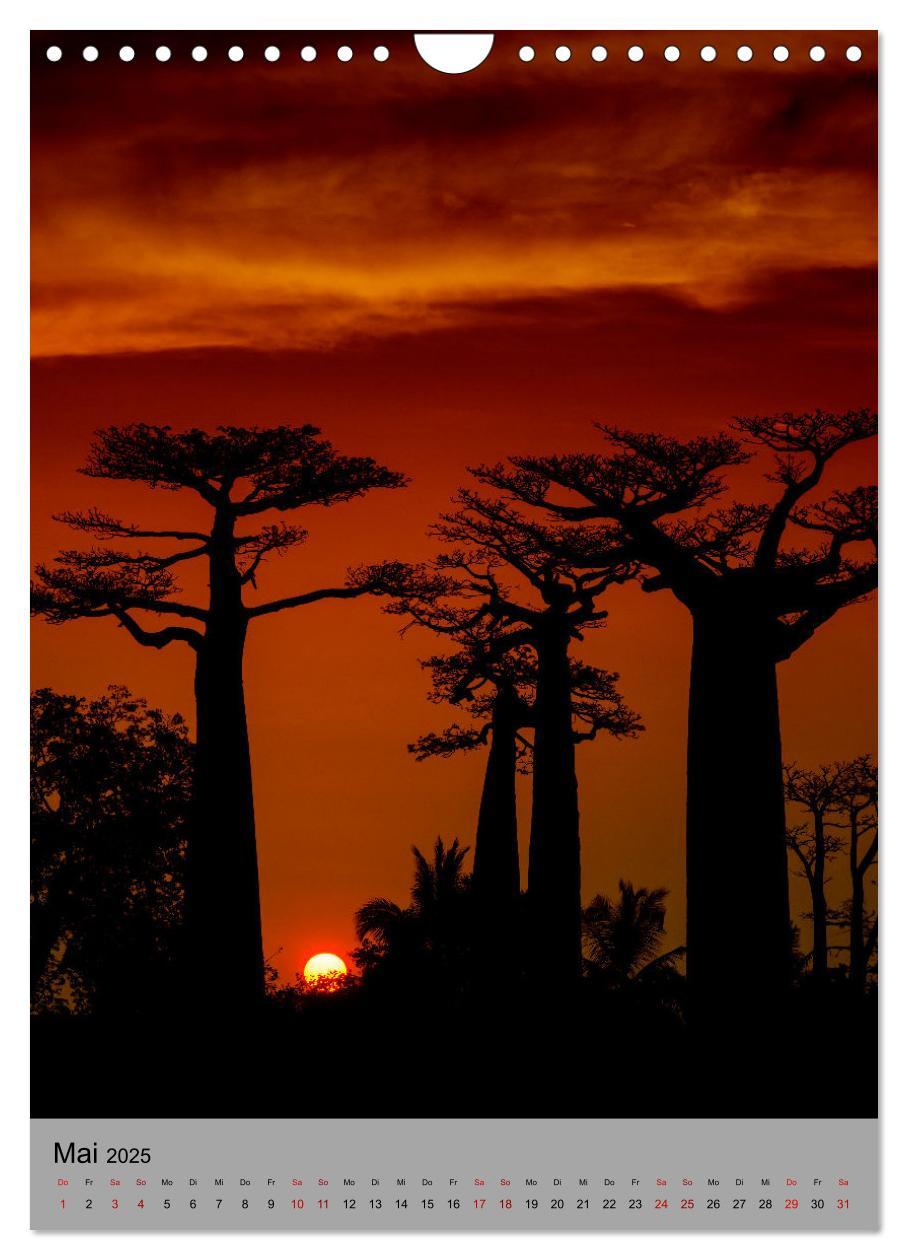 Bild: 9783435905140 | MADAGASKAR: Baobabs, Lemuren, Naturwunder (Wandkalender 2025 DIN A4...