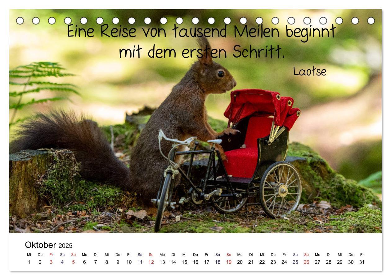 Bild: 9783435433247 | Der literarische Eichhörnchen-Kalender (Tischkalender 2025 DIN A5...