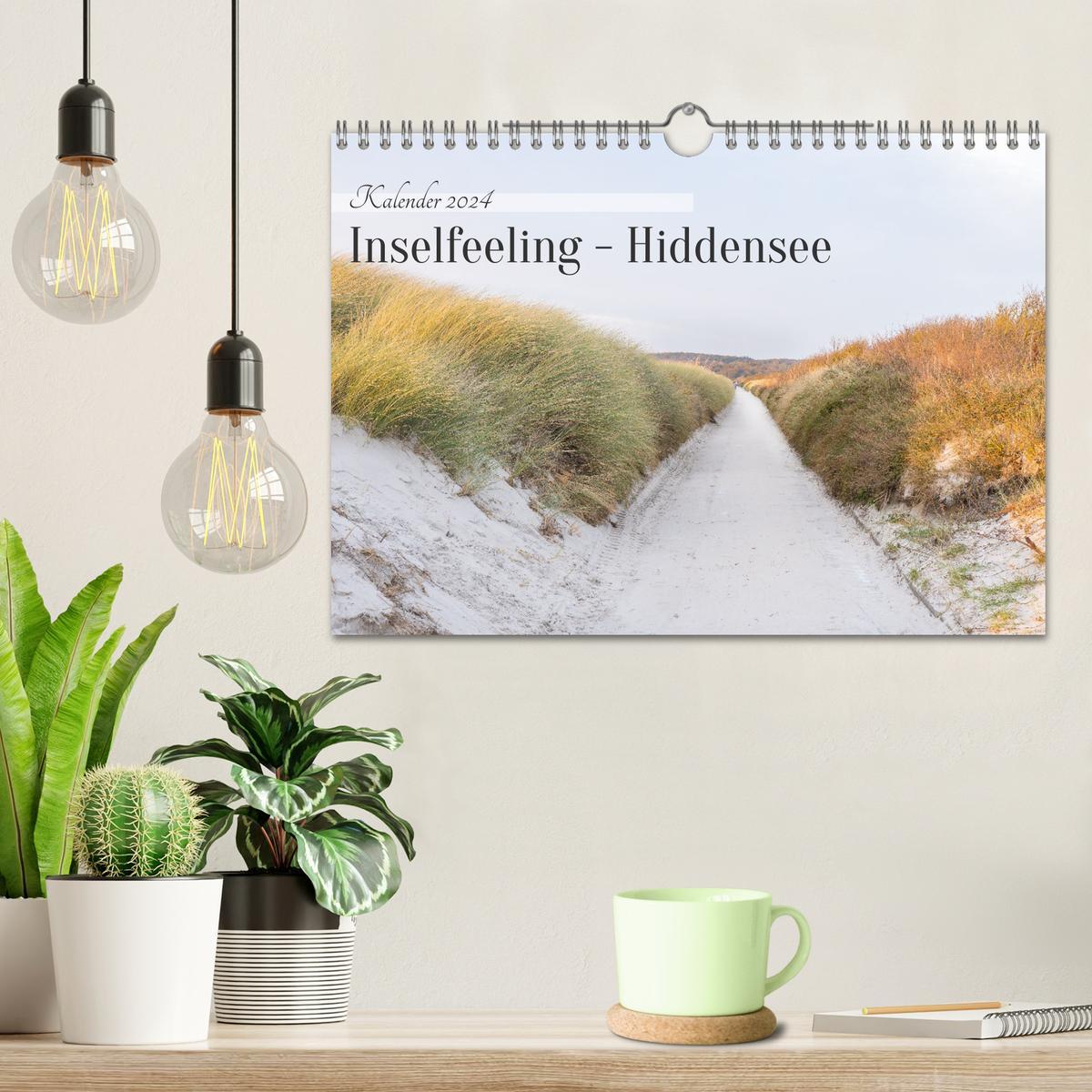 Bild: 9783383848155 | Inseelfeeling - Hiddensee (Wandkalender 2025 DIN A4 quer), CALVENDO...