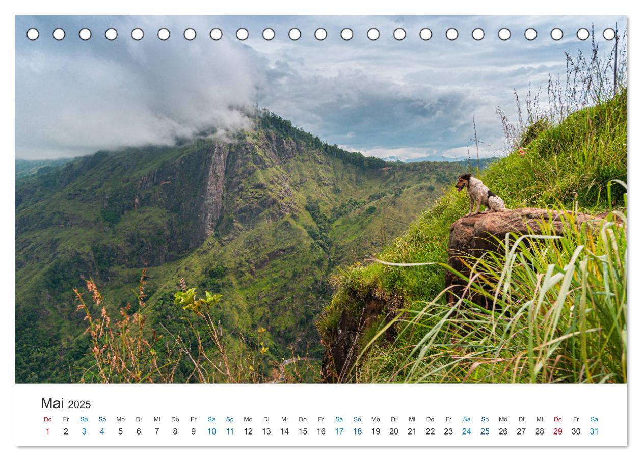 Bild: 9783435148707 | Traumziel Sri Lanka (Tischkalender 2025 DIN A5 quer), CALVENDO...