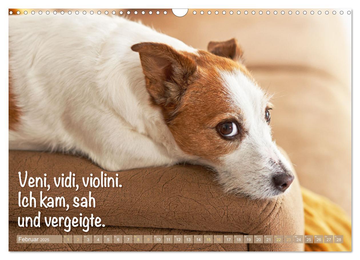 Bild: 9783457199794 | Jack Russell Terrier: flink und verspielt (Wandkalender 2025 DIN A3...