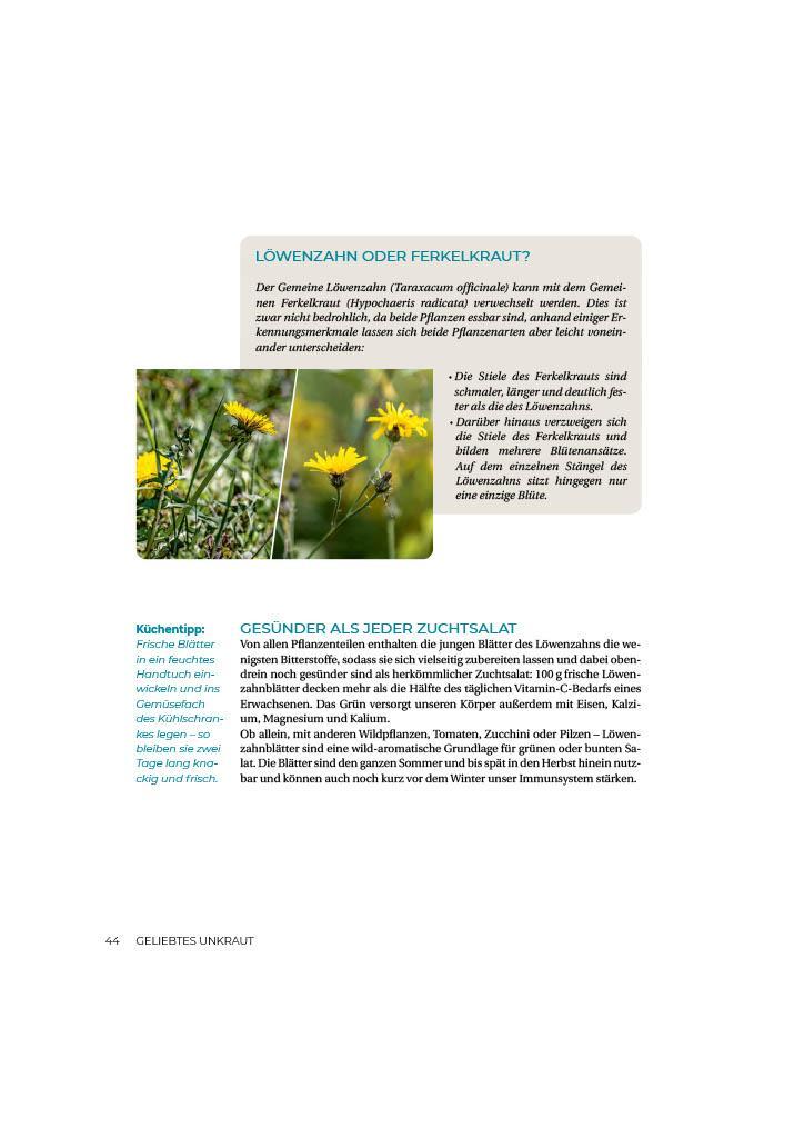 Bild: 9783910801103 | Geliebtes Unkraut | smarticular Verlag | Taschenbuch | Kostbare Natur