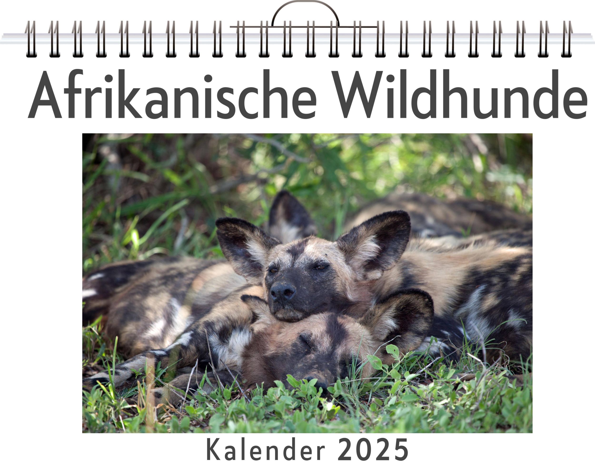 Cover: 9783759128928 | Afrikanische Wildhunde | Clara Kaiser | Kalender | Kalender | 14 S.