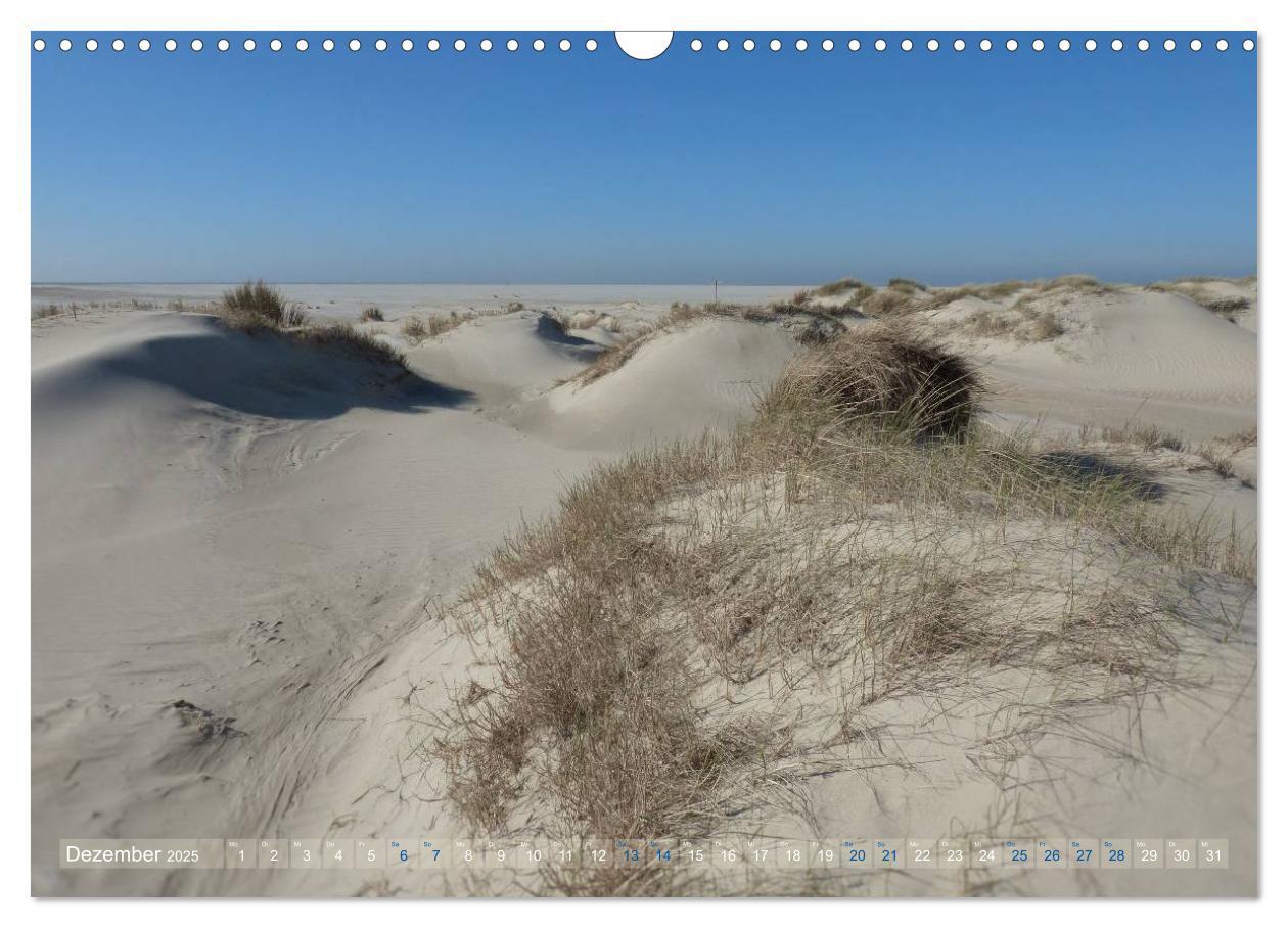 Bild: 9783435660780 | Texel. Neue Dünen (Wandkalender 2025 DIN A3 quer), CALVENDO...