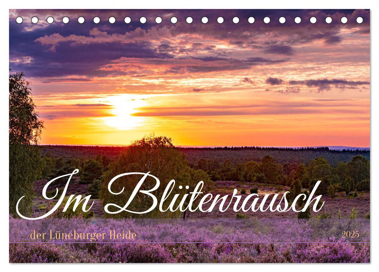 Cover: 9783383831355 | Im Blütenrausch der Lüneburger Heide (Tischkalender 2025 DIN A5...