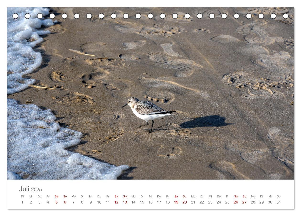 Bild: 9783435021543 | Dänemark - Henne Strand (Tischkalender 2025 DIN A5 quer), CALVENDO...