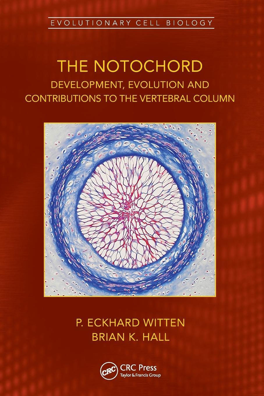 Cover: 9781032162683 | The Notochord | P. Eckhard Witten (u. a.) | Taschenbuch | Paperback