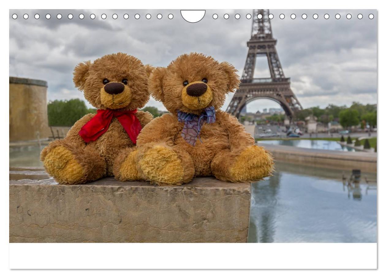 Bild: 9783435503414 | Travelling Teddy 2025 (Wandkalender 2025 DIN A4 quer), CALVENDO...