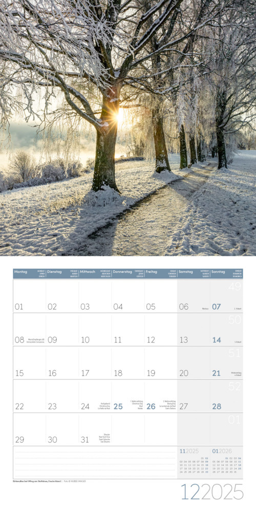 Bild: 9783838445045 | Traumpfade Kalender 2025 - 30x30 | Ackermann Kunstverlag | Kalender