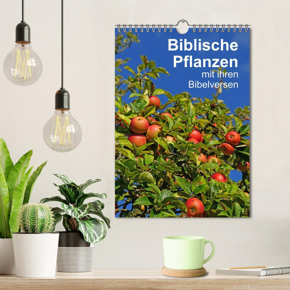 Bild: 9783435974658 | Biblische Pflanzen mit ihren Bibelversen (Wandkalender 2025 DIN A4...