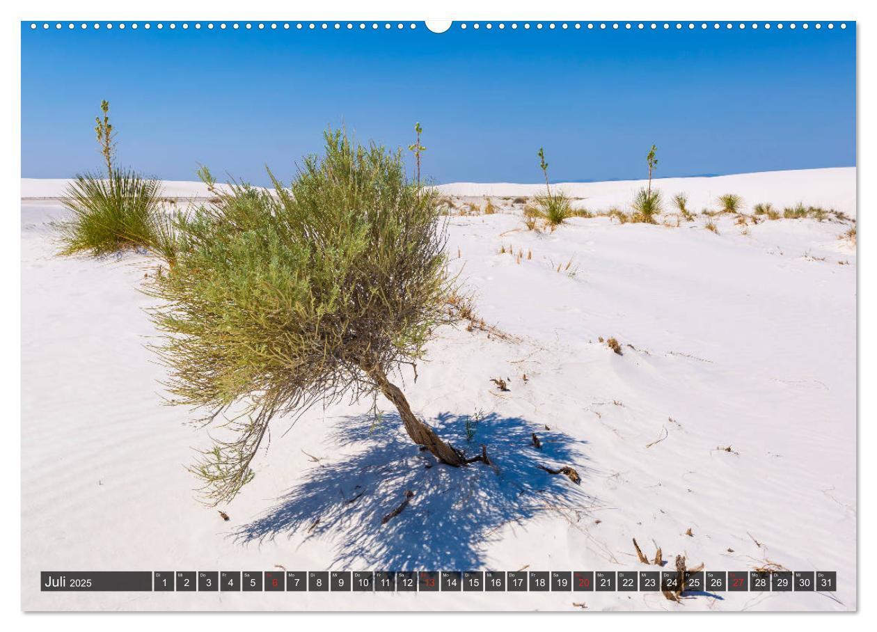 Bild: 9783435209835 | WHITE SANDS Die weiße Wüste in New Mexico (Wandkalender 2025 DIN A2...