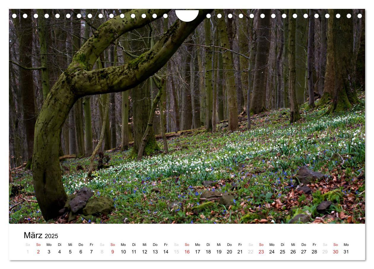 Bild: 9783435499724 | Naturerlebnis im Biosphärenreservat Rhön (Wandkalender 2025 DIN A4...