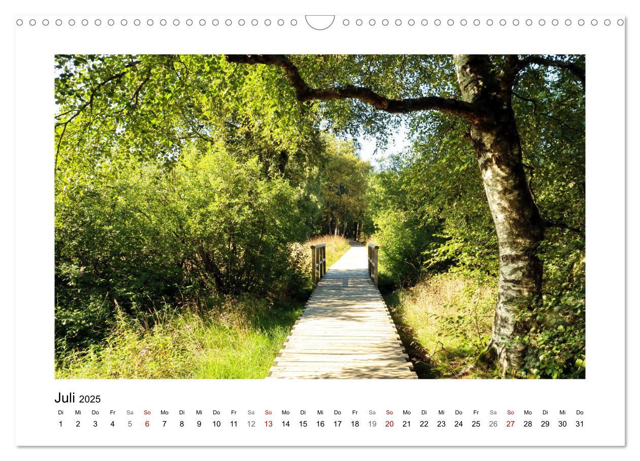 Bild: 9783435026593 | Rotes und Schwarzes Moor (Wandkalender 2025 DIN A3 quer), CALVENDO...