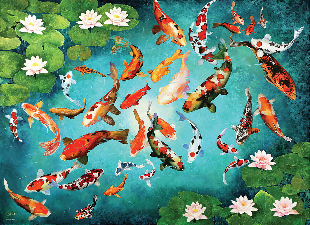 Bild: 628136656962 | Koi Fische von Guido Borelli (Puzzle) | Spiel | In Spielebox | 2022