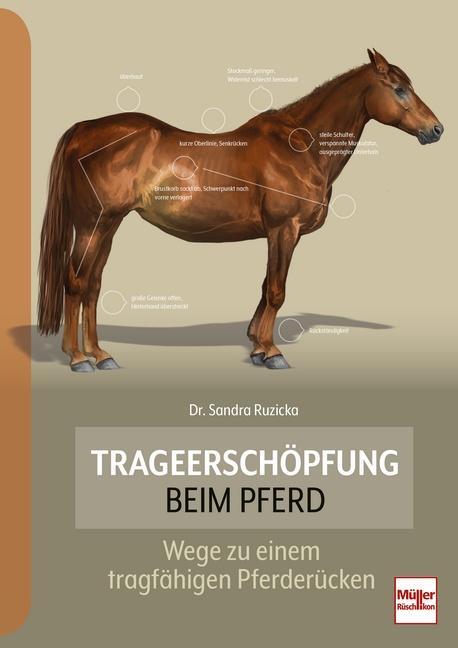 Cover: 9783275022830 | Trageerschöpfung beim Pferd | Wege zu einem tragfähigen Pferderücken