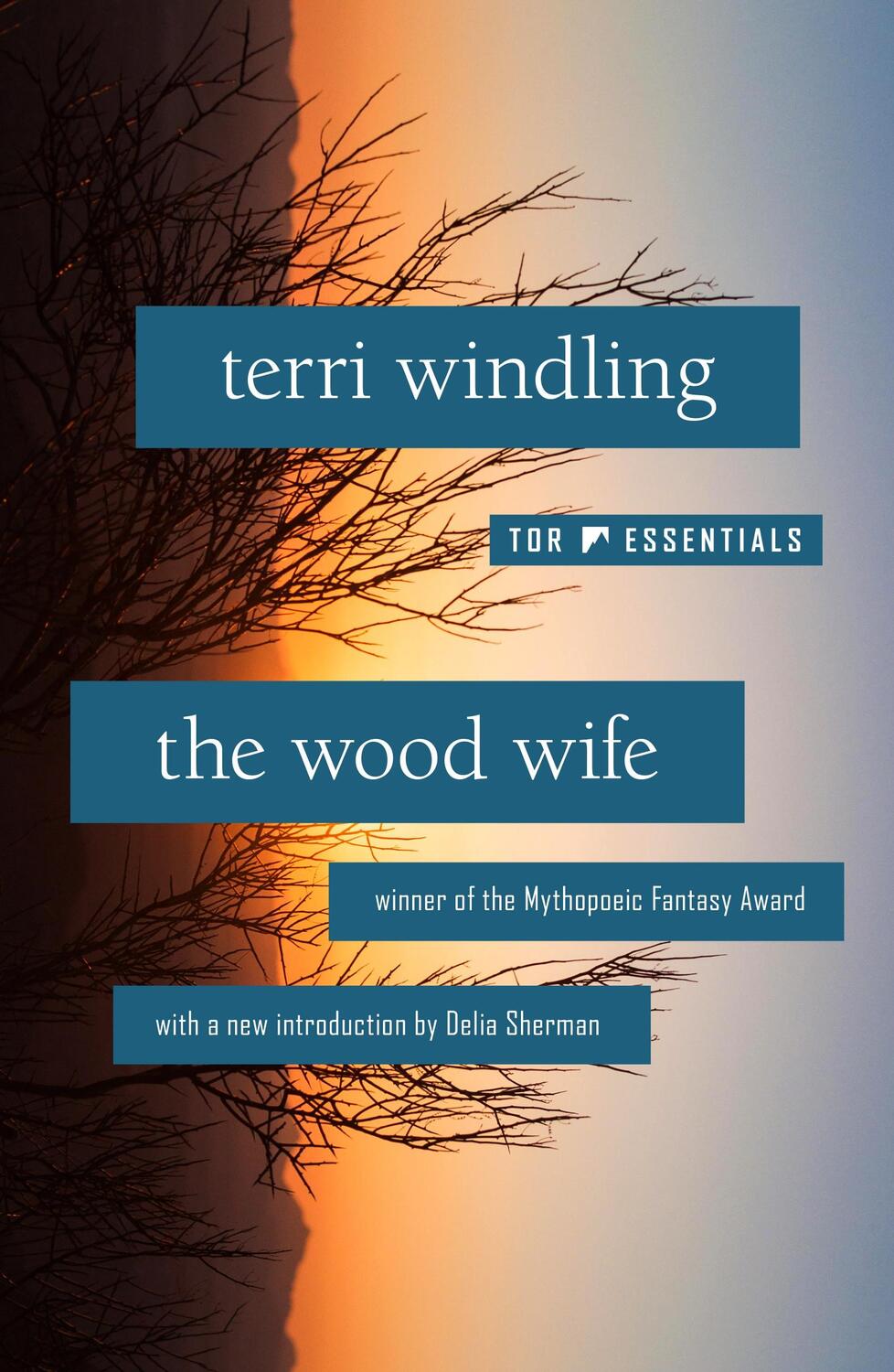 Cover: 9781250237552 | The Wood Wife | Terri Windling | Taschenbuch | Kartoniert / Broschiert