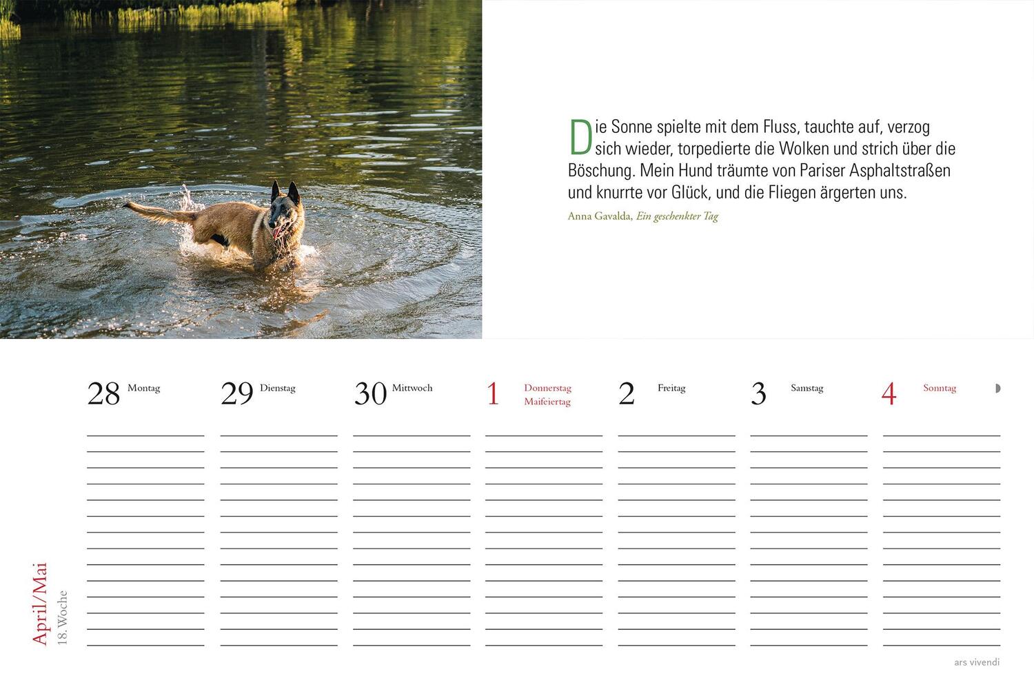 Bild: 9783747205709 | Tischkalender Hunde 2025 | Tischkalender | ars vivendi verlag | 53 S.