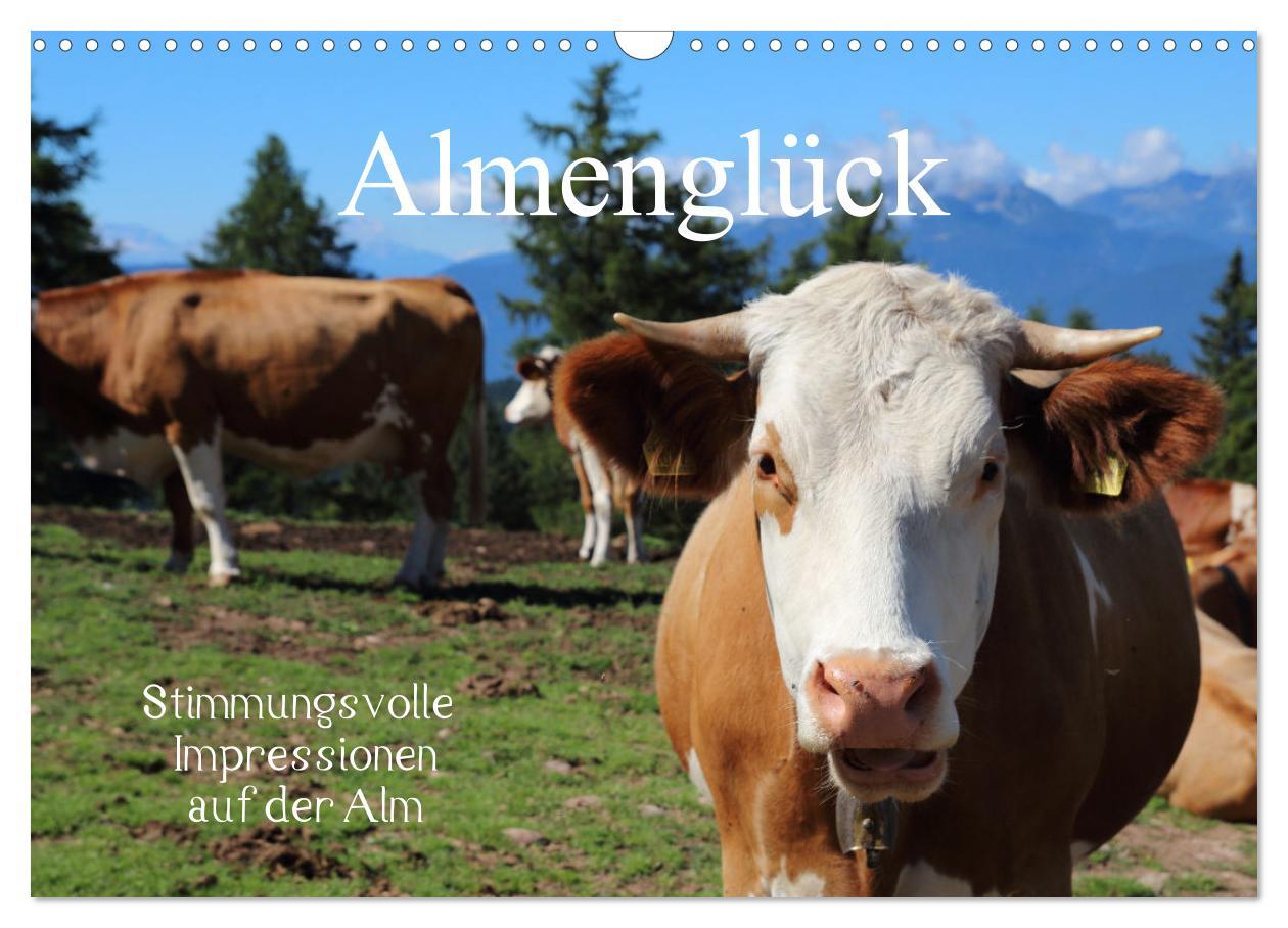 Cover: 9783383975288 | Almenglück (Wandkalender 2025 DIN A3 quer), CALVENDO Monatskalender