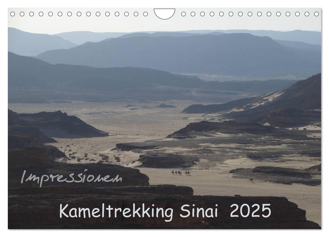 Cover: 9783435525904 | Impressionen Kameltrekking Sinai 2025 (Wandkalender 2025 DIN A4...