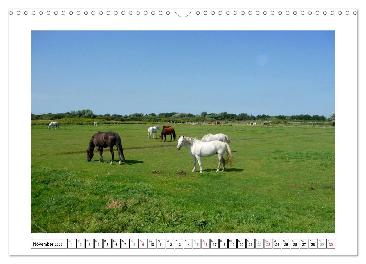 Bild: 9783435560332 | Borkum - Ostfriesische Insel mit Charme (Wandkalender 2025 DIN A3...