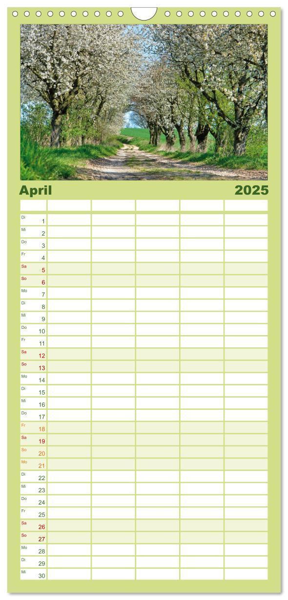 Bild: 9783457126318 | Familienplaner 2025 - Baum-Variationen mit 5 Spalten (Wandkalender,...