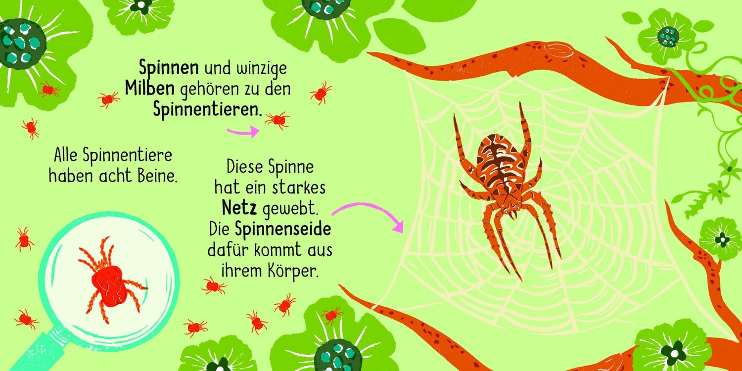 Bild: 9783411722280 | 50 Wörter über die Natur - Insekten | Buch | 32 S. | Deutsch | 2024