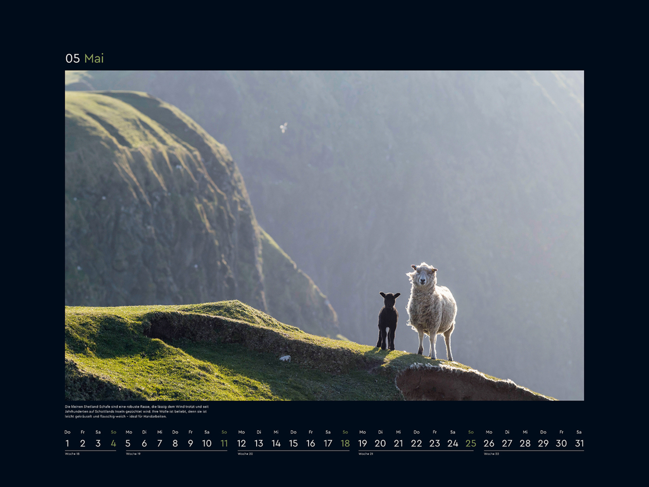 Bild: 9783965913462 | Schottland - KUNTH Wandkalender 2025 | Kalender | 14 S. | Deutsch