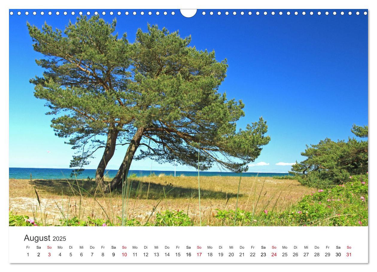 Bild: 9783435057702 | Faszination Natur - Bilder aus Mecklenburg-Vorpommern (Wandkalender...