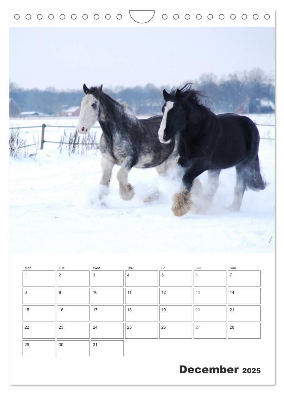 Bild: 9781325973057 | Shire Horses The Gentle Giants (Wall Calendar 2025 DIN A4...